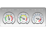 Radial gauge multiple range indicators numeric display
